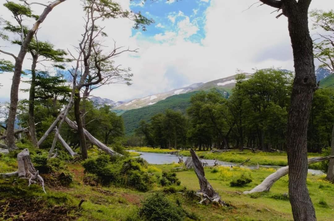 Cabanas Santa Montana Ushuaia Ngoại thất bức ảnh