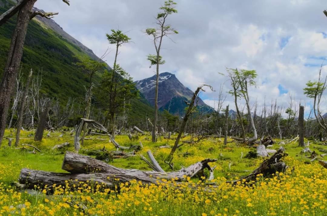 Cabanas Santa Montana Ushuaia Ngoại thất bức ảnh